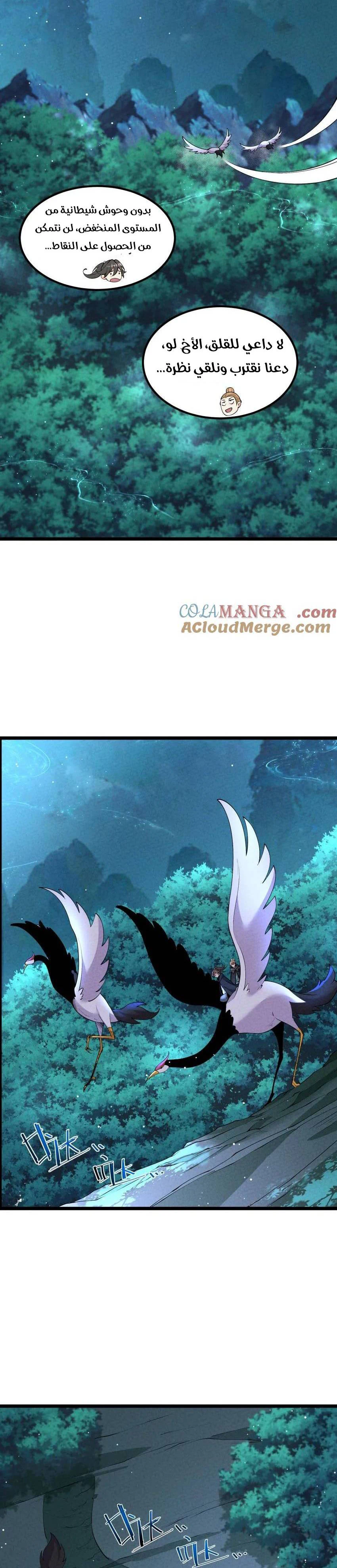 Chapter Image 4