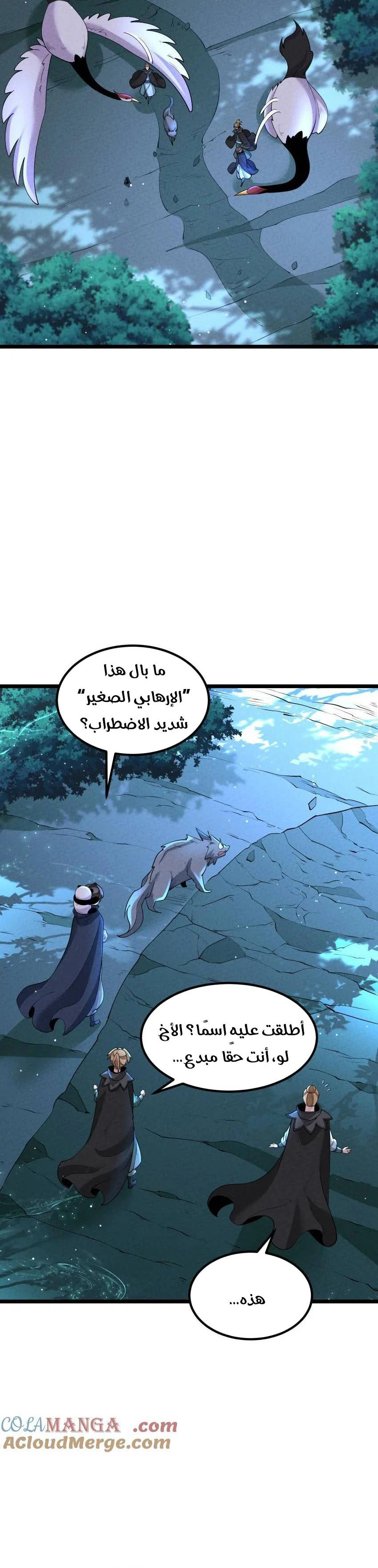Chapter Image 5