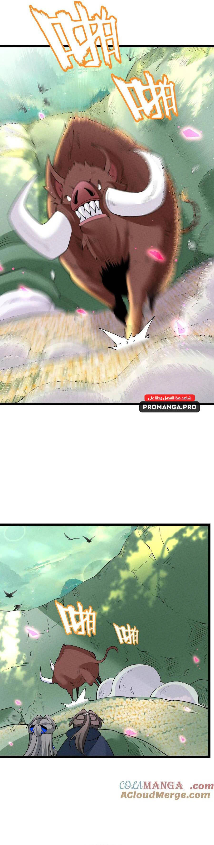 Chapter Image 7