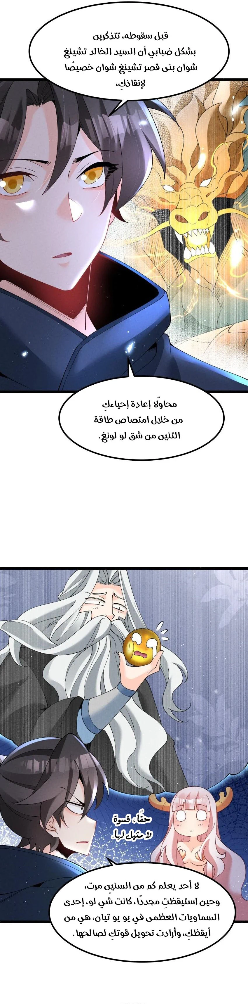 Chapter Image 4