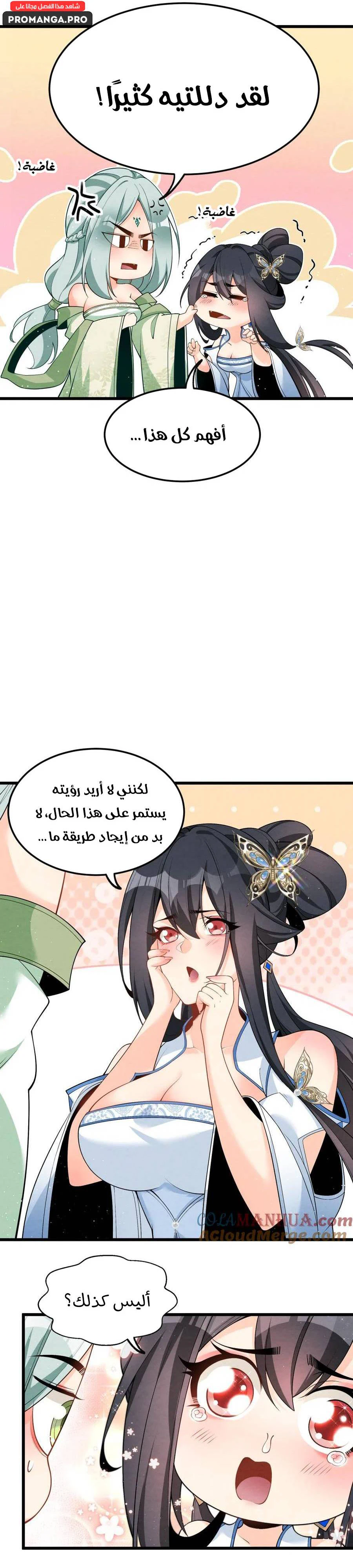 Chapter Image 5