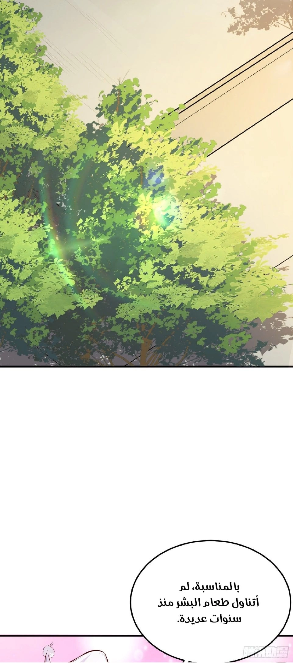 Chapter Image 10