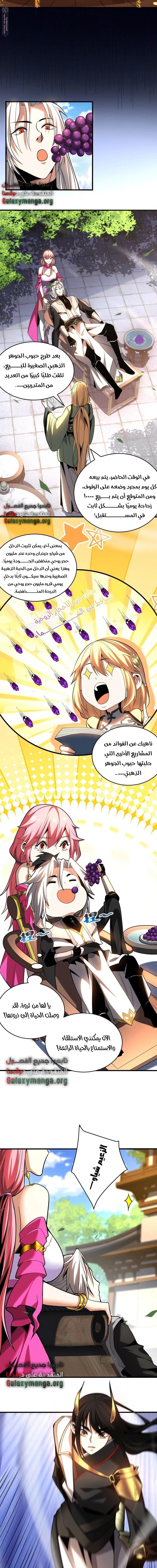 Chapter Image 3
