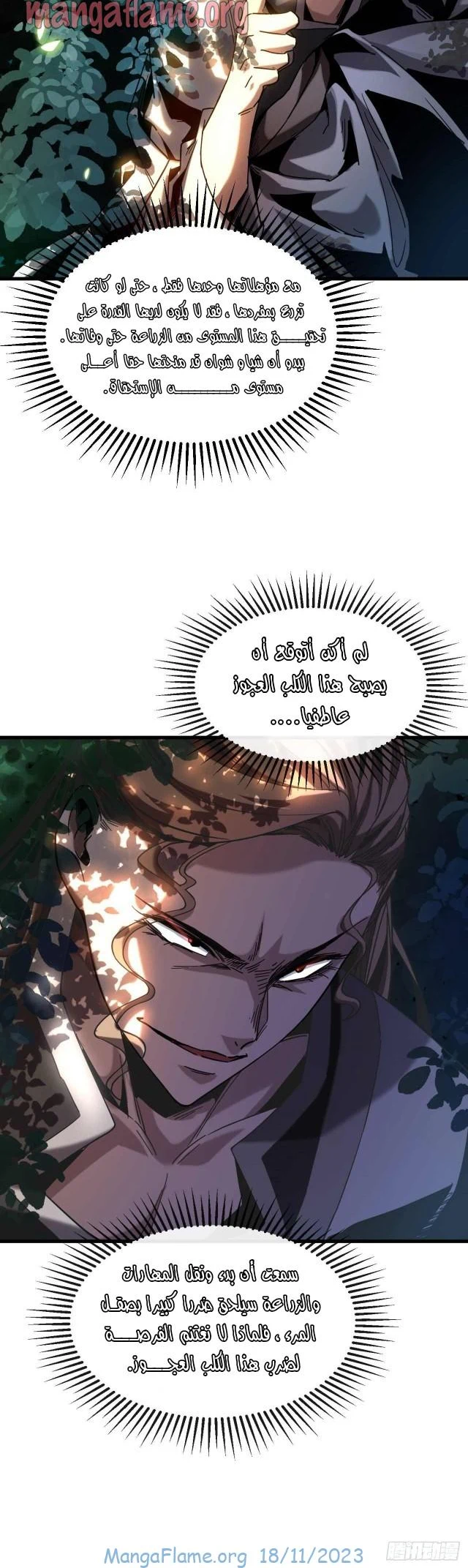 Chapter Image 21