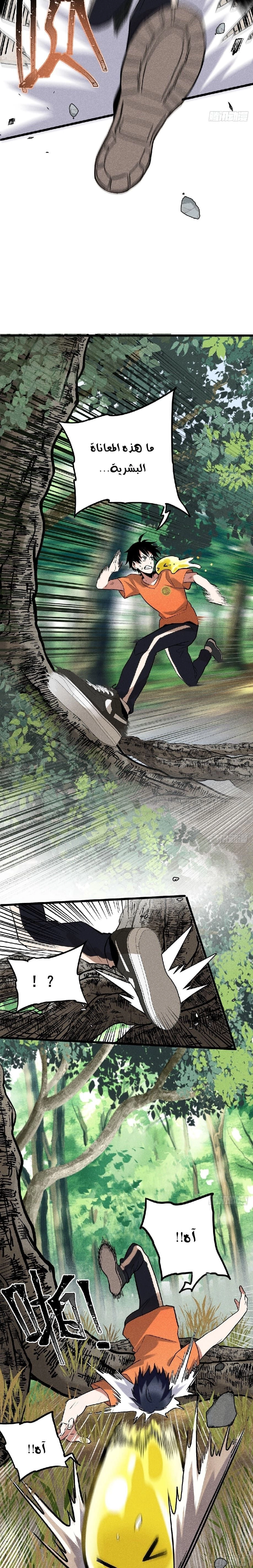 Chapter Image 6