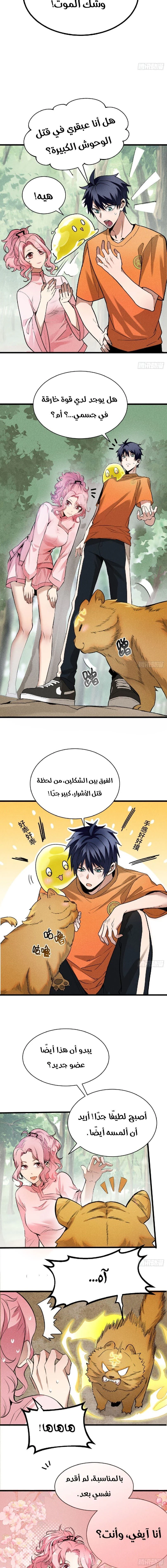 Chapter Image 2