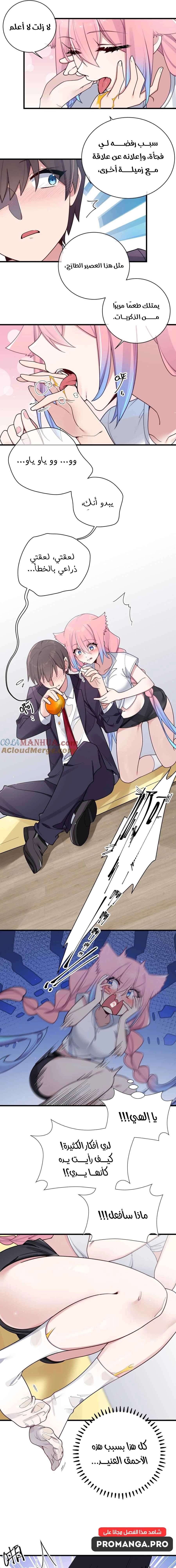 Chapter Image 5