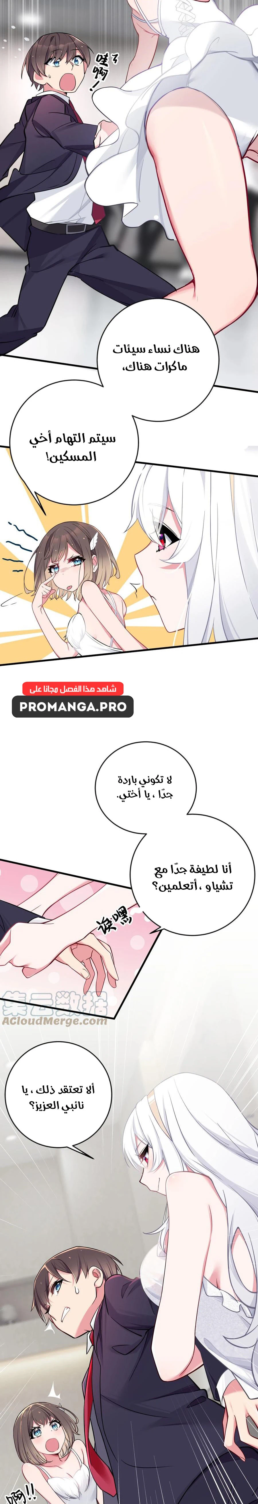 Chapter Image 8