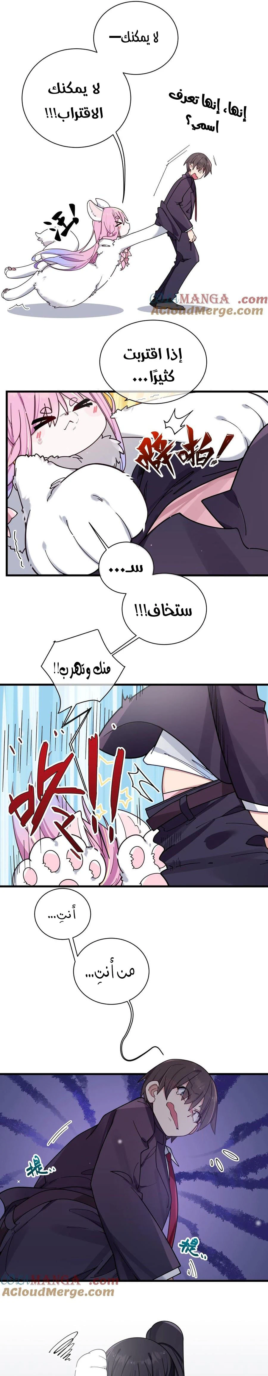 Chapter Image 5