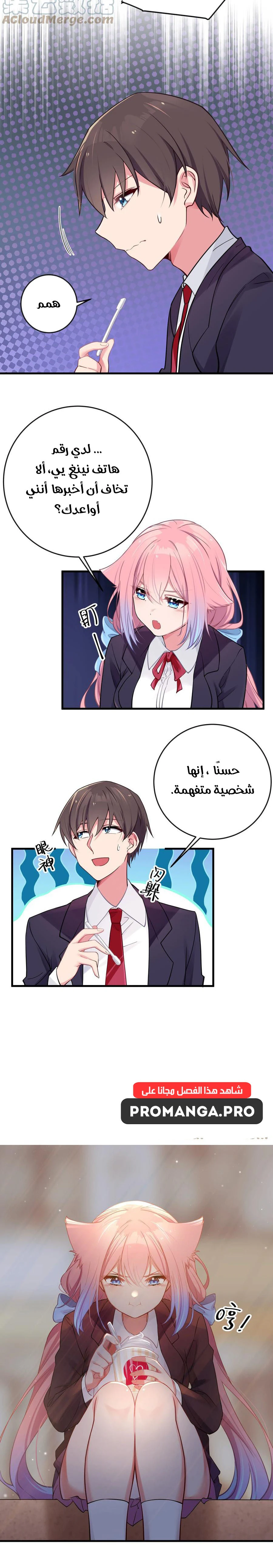 Chapter Image 4