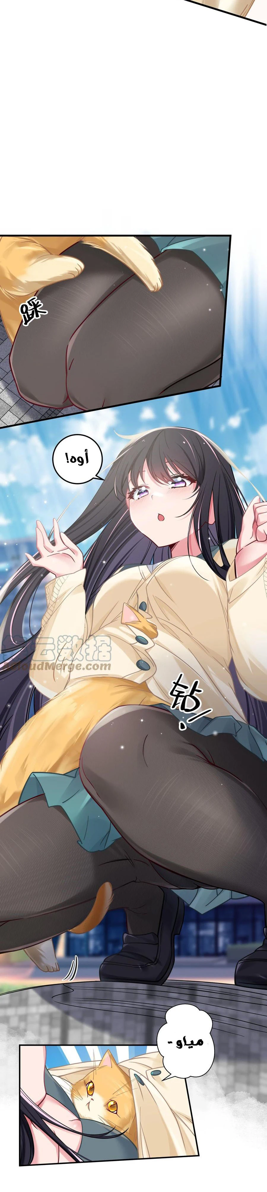 Chapter Image 16