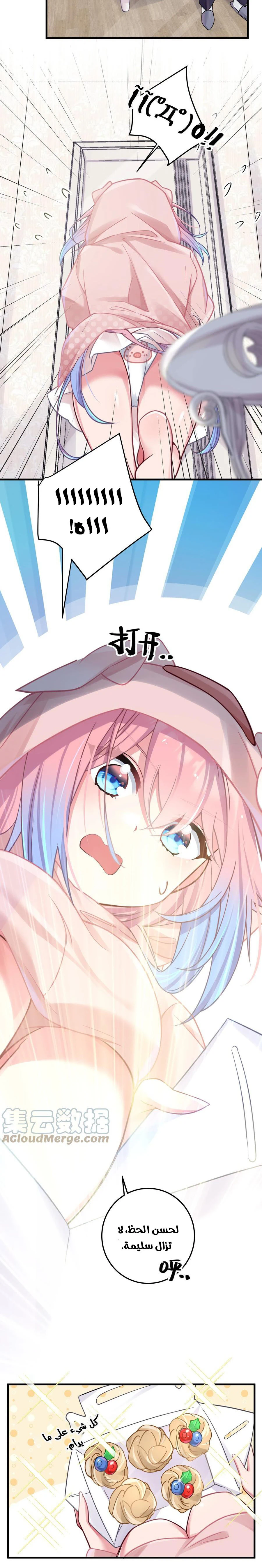 Chapter Image 4