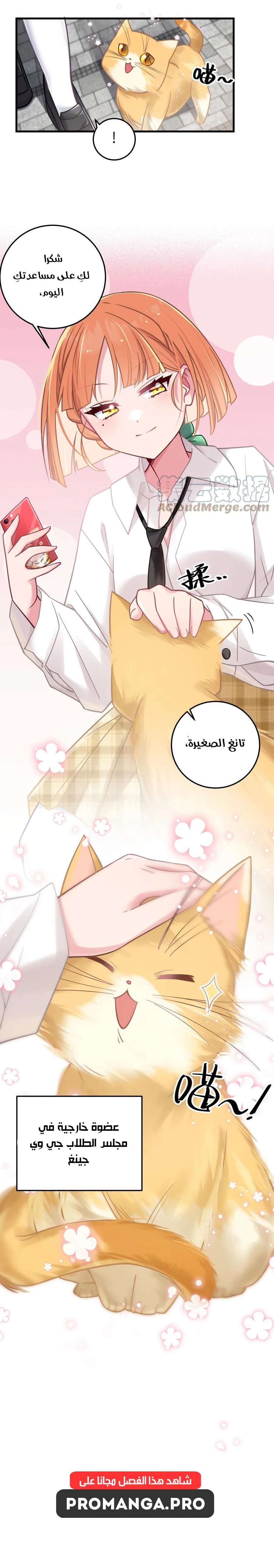 Chapter Image 4
