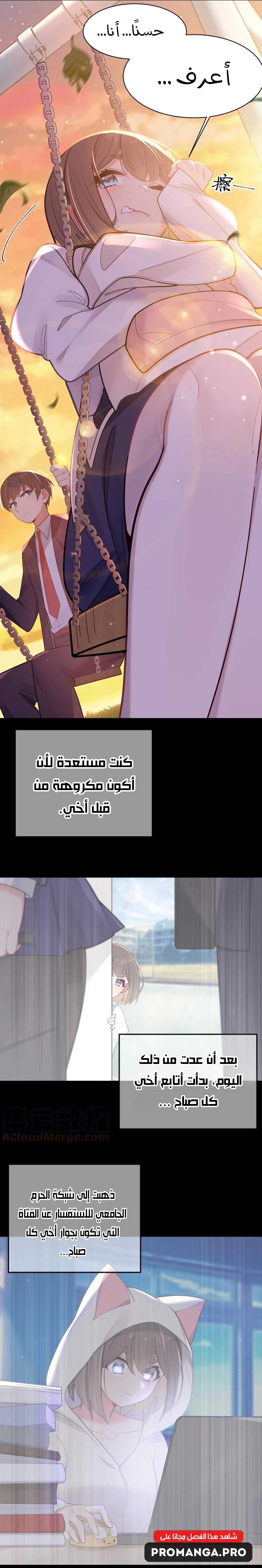 Chapter Image 7