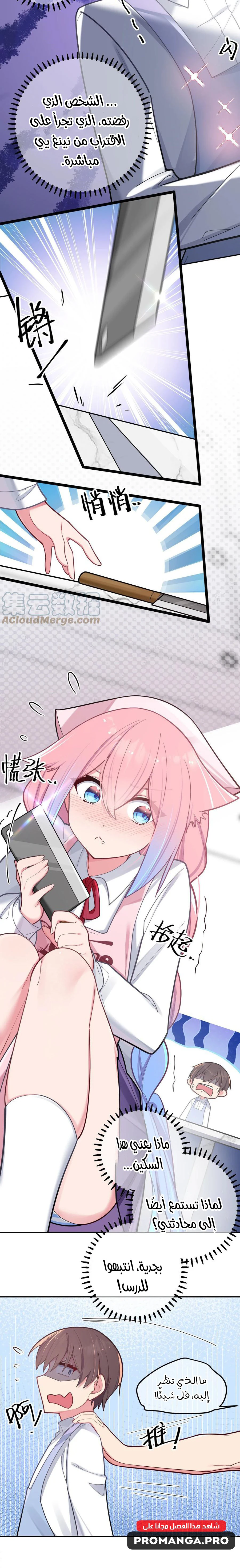 Chapter Image 4