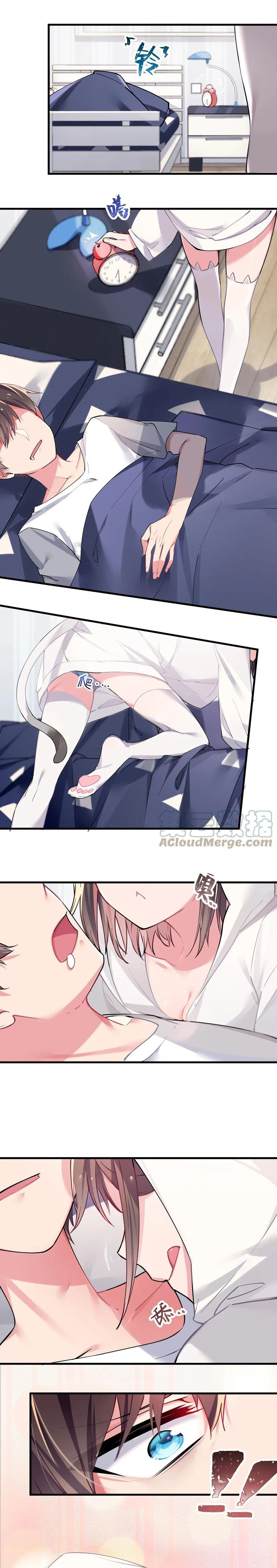 Chapter Image 8