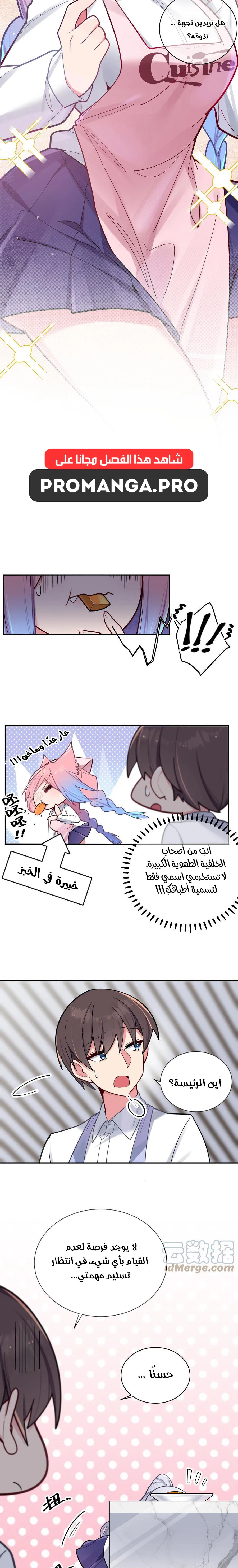 Chapter Image 5