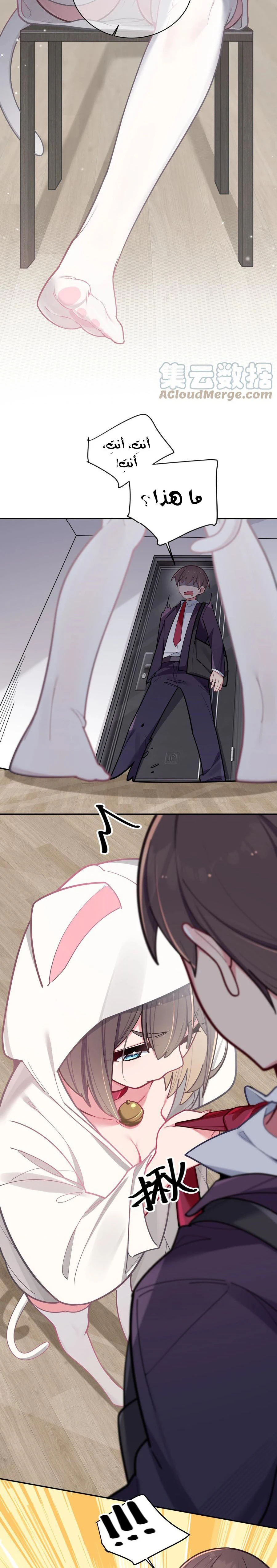 Chapter Image 10