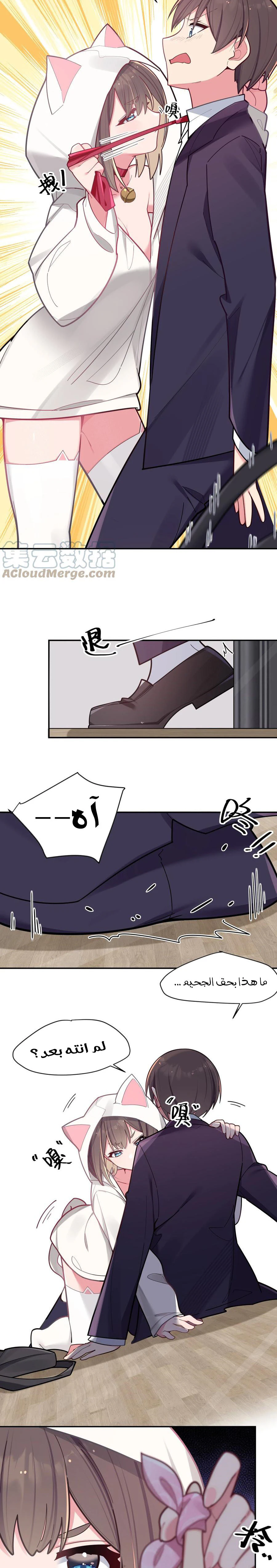 Chapter Image 11