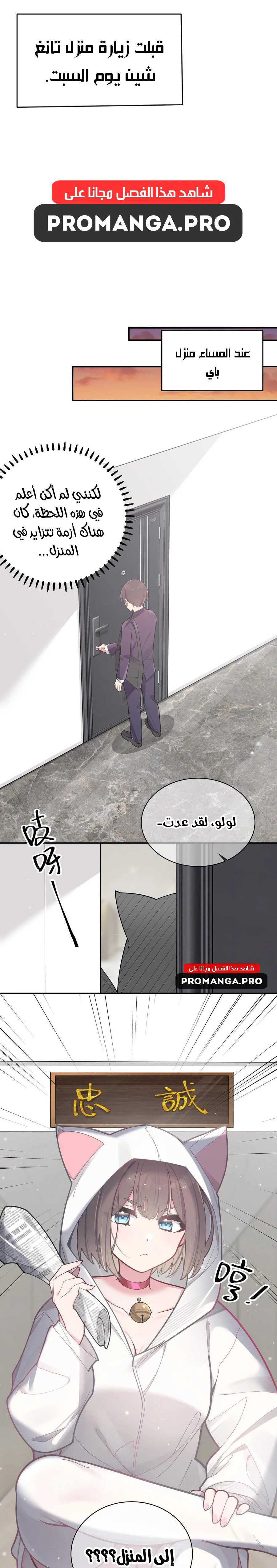 Chapter Image 9