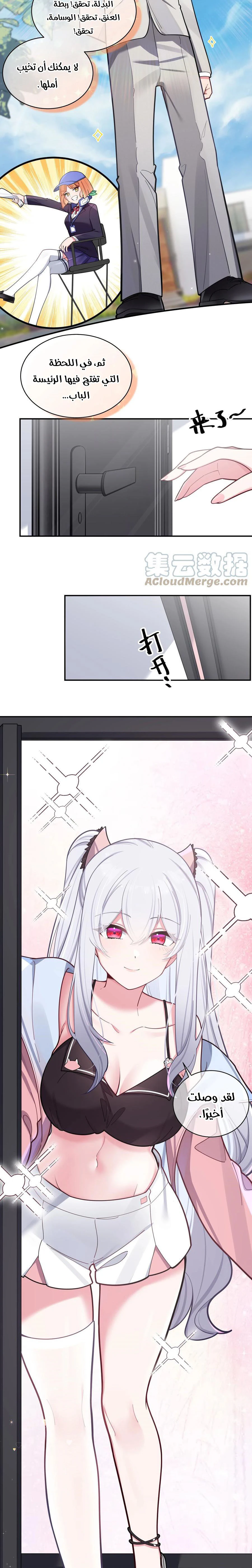 Chapter Image 3