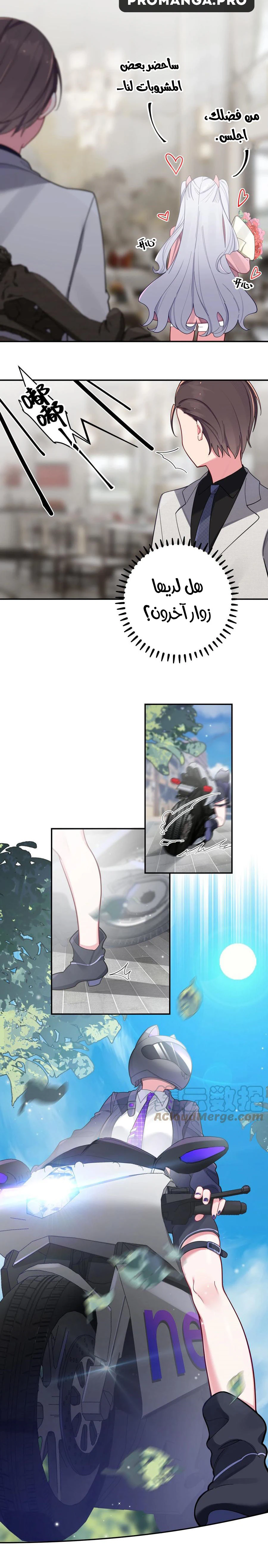 Chapter Image 8
