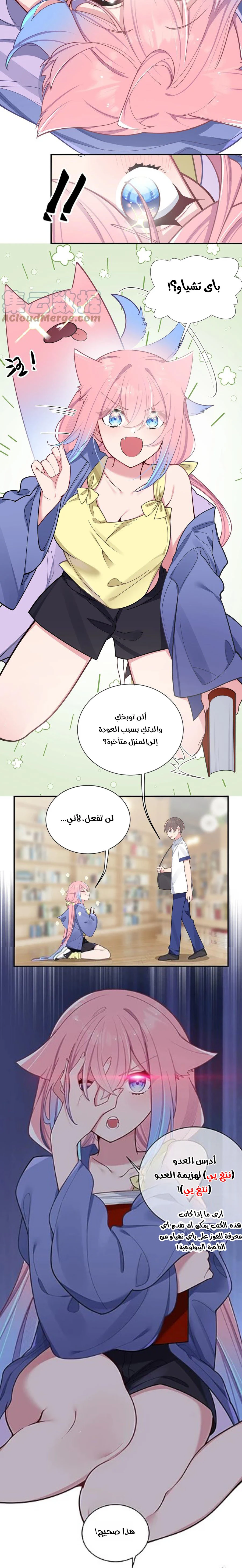 Chapter Image 6