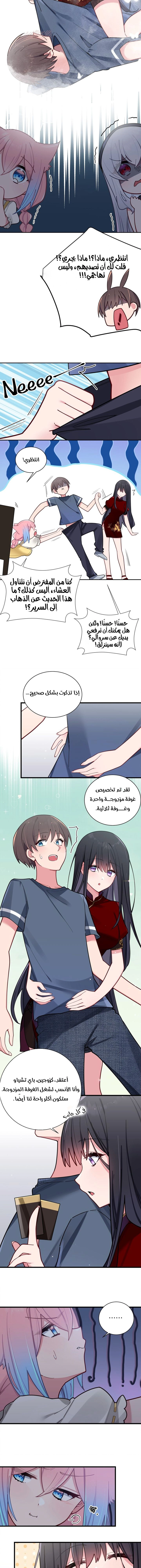 Chapter Image 5