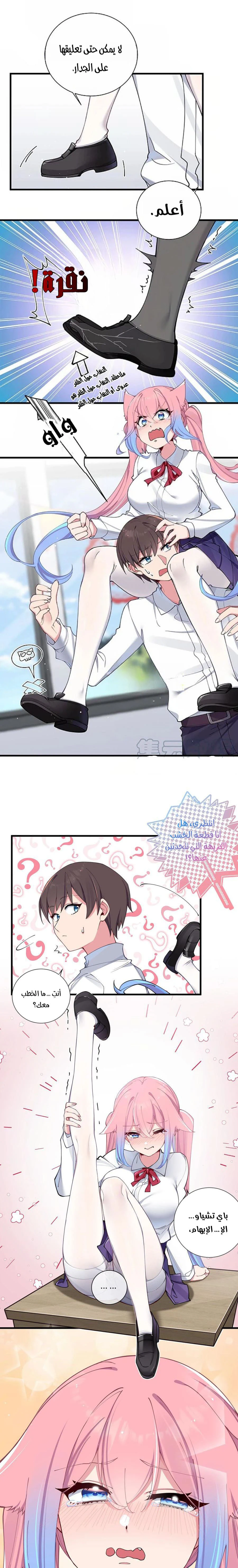 Chapter Image 5