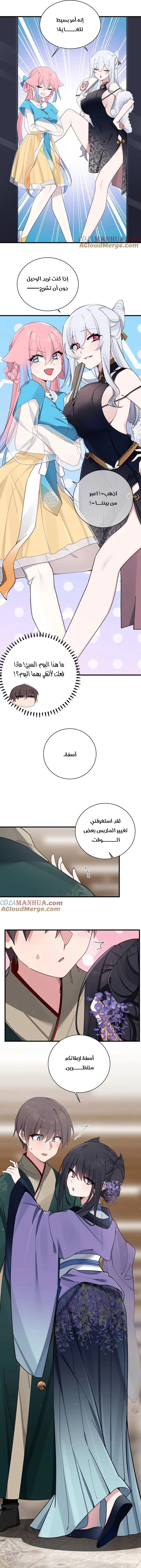 Chapter Image 5