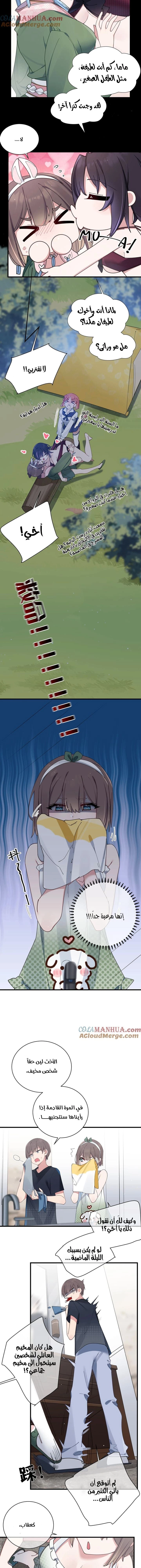Chapter Image 2
