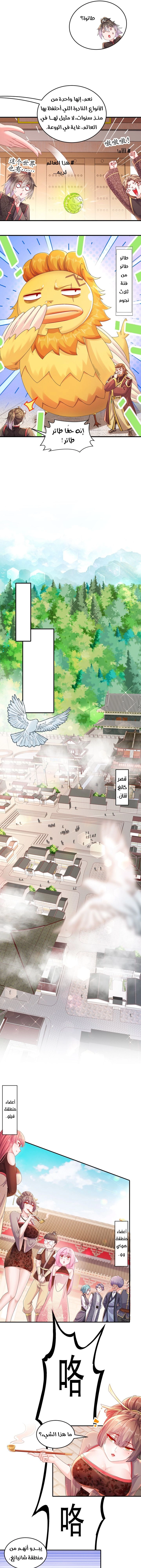 Chapter Image 3