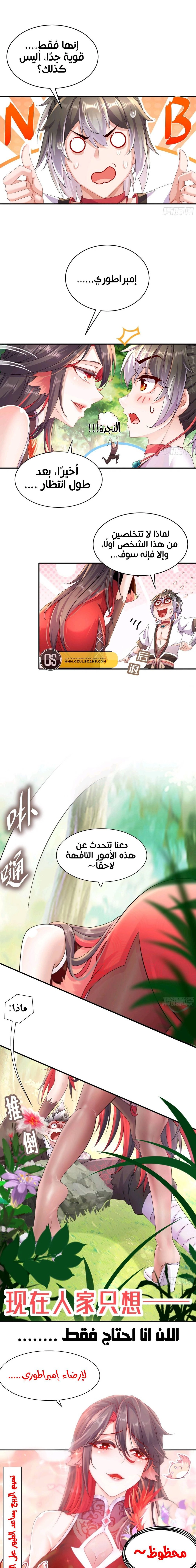 Chapter Image 13