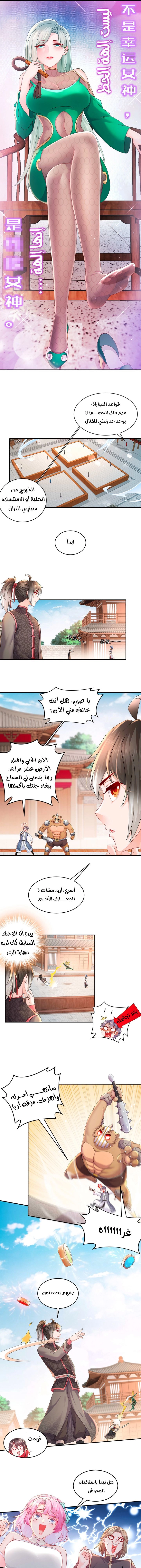 Chapter Image 5