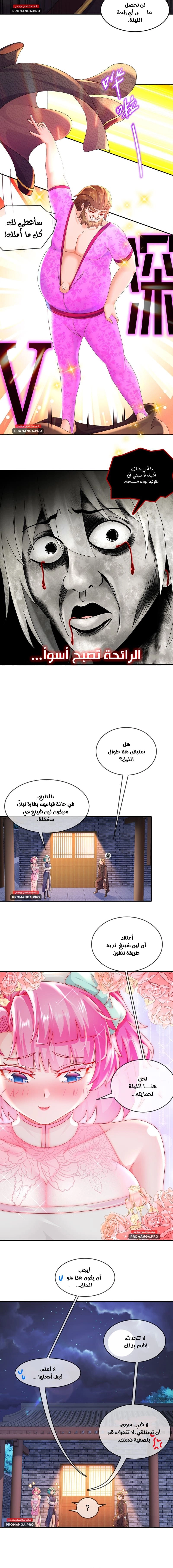 Chapter Image 2
