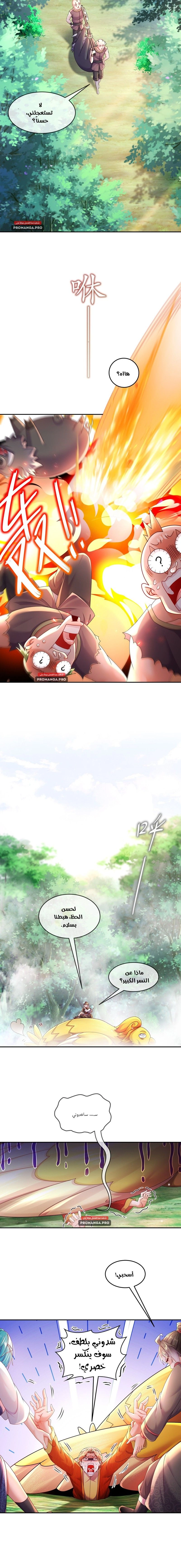 Chapter Image 4