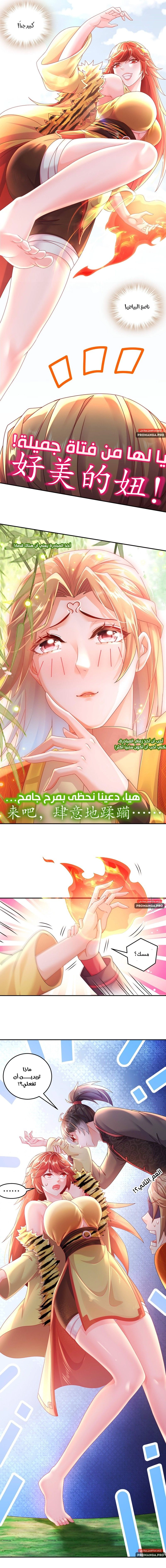 Chapter Image 4