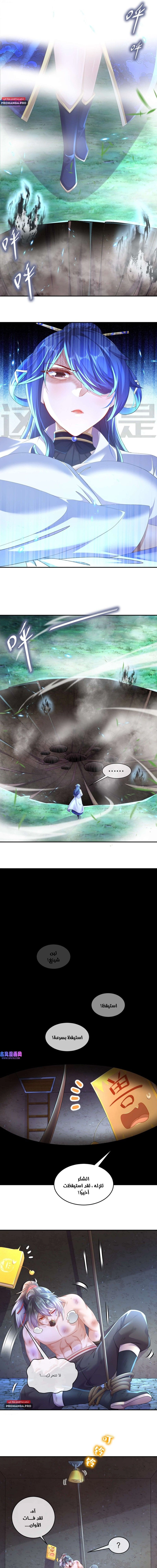 Chapter Image 5
