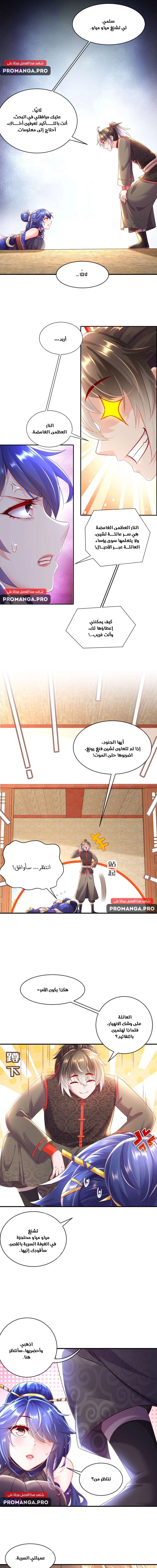 Chapter Image 7