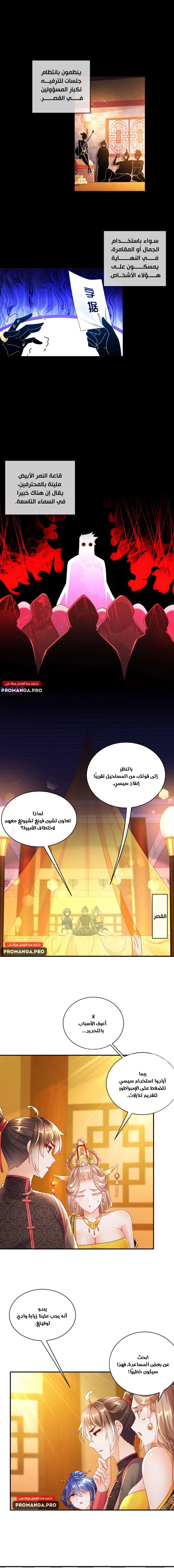 Chapter Image 8