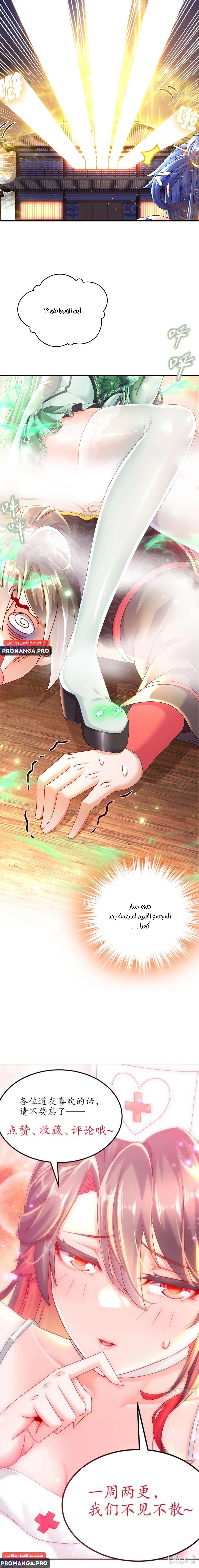 Chapter Image 10