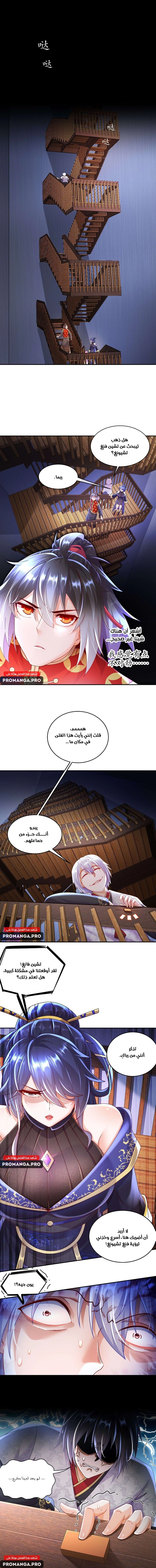 Chapter Image 4