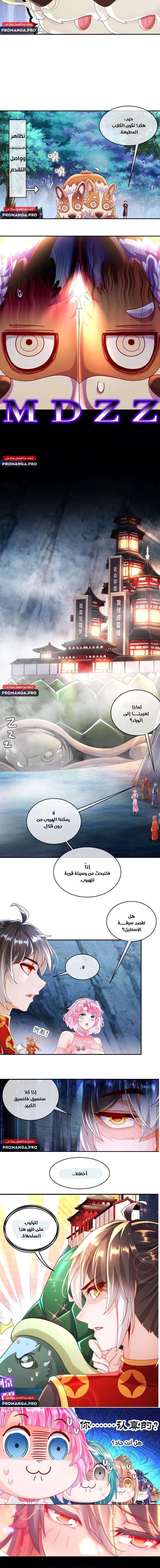 Chapter Image 8