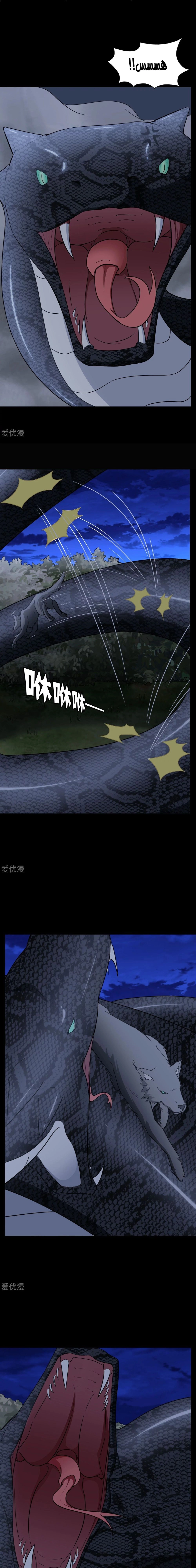 Chapter Image 3