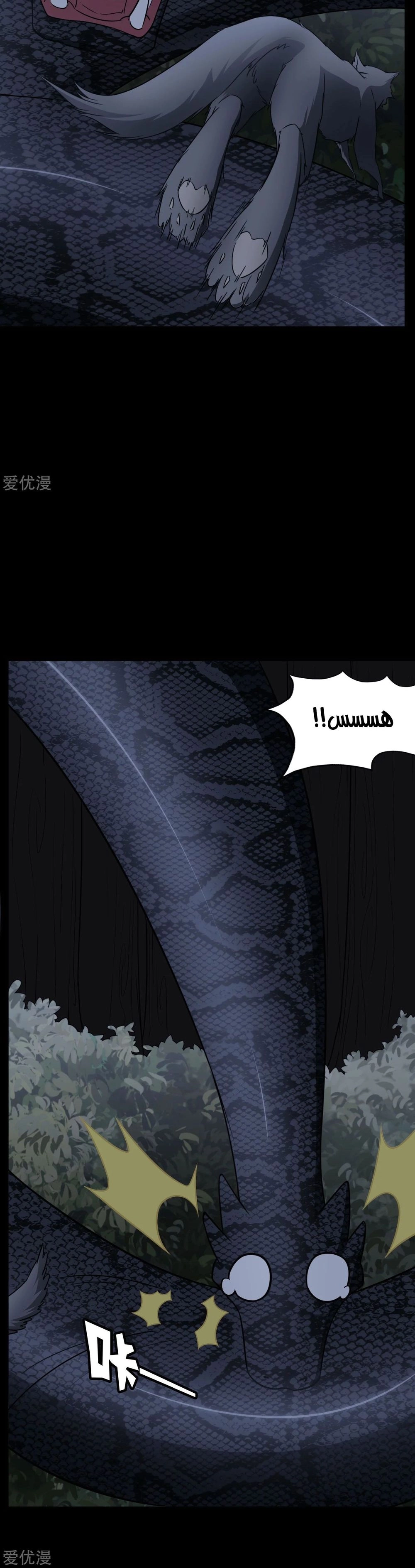 Chapter Image 4
