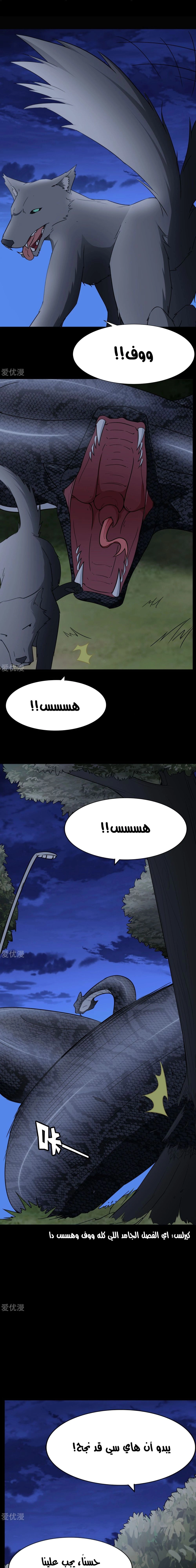 Chapter Image 5