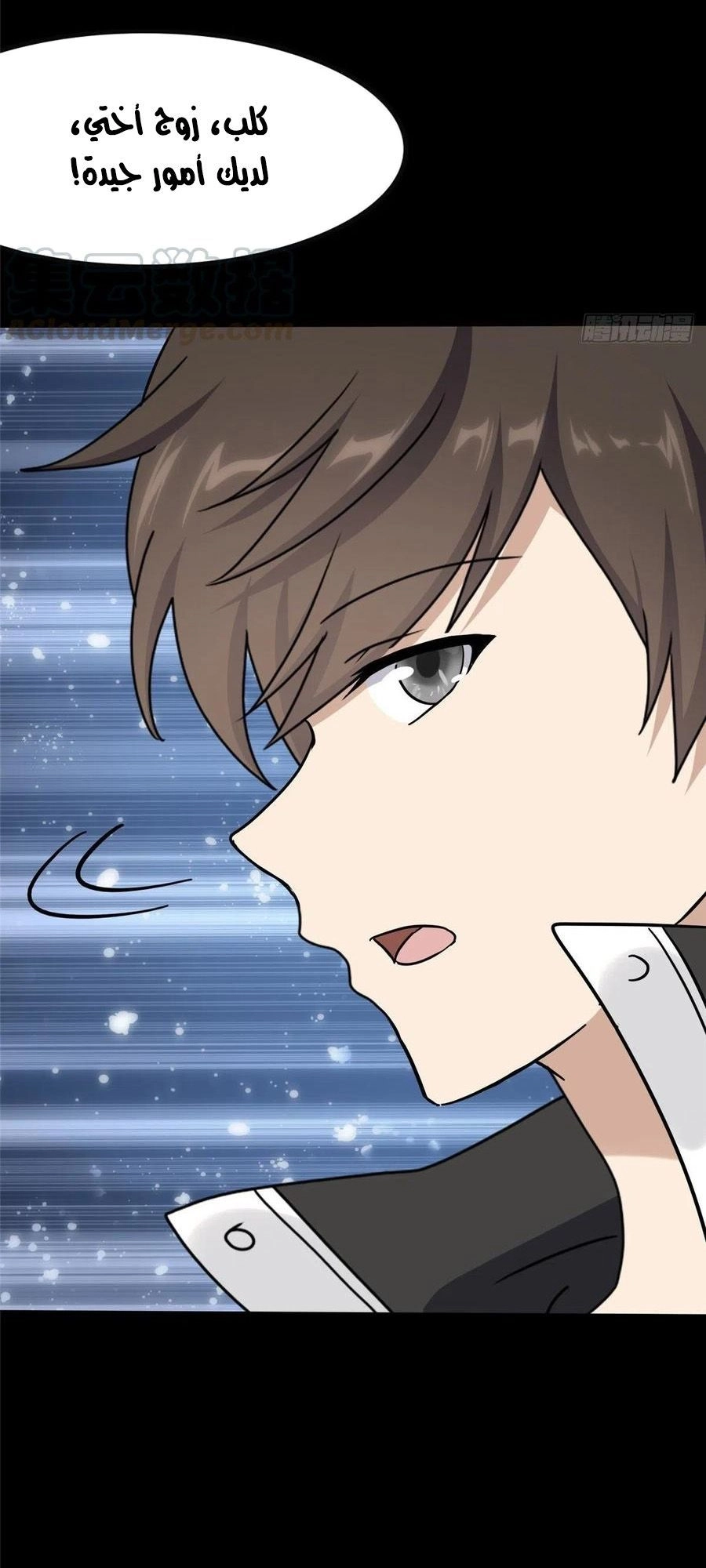 Chapter Image 17