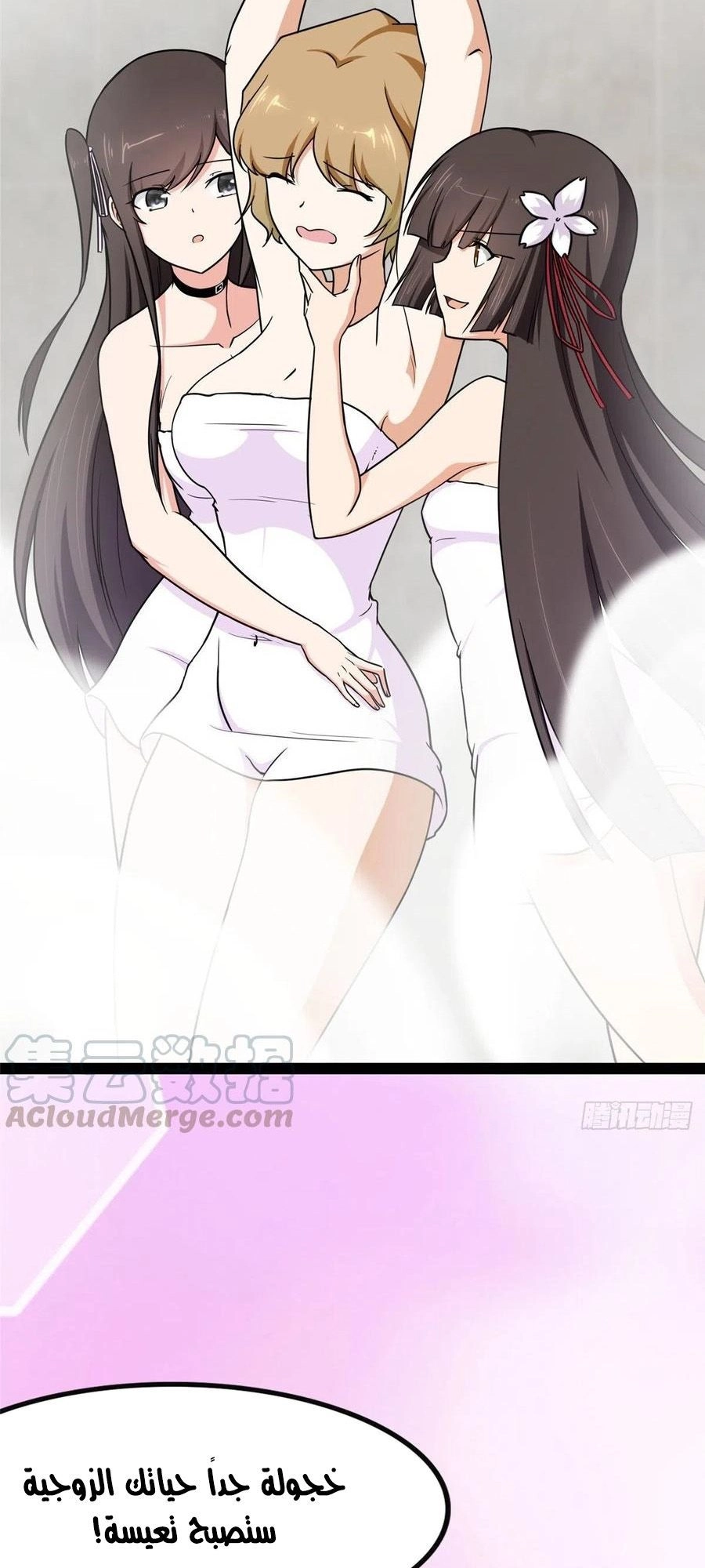 Chapter Image 5
