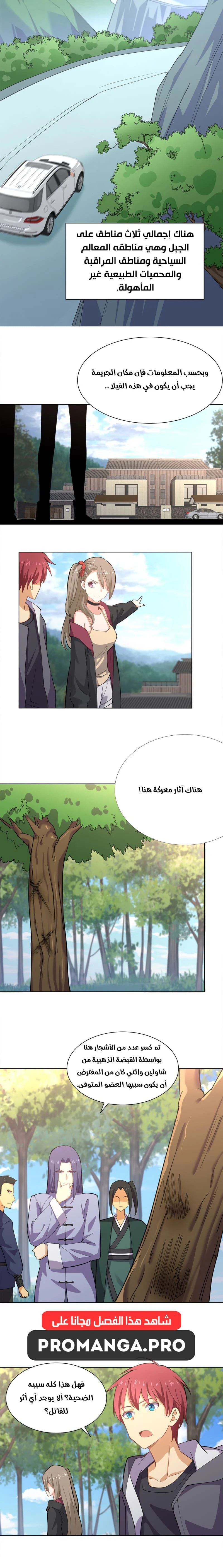 Chapter Image 4