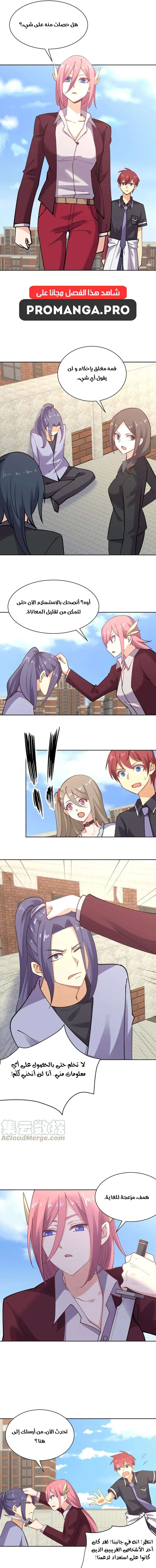 Chapter Image 5